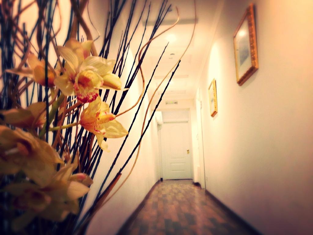 Residenza Domiziano Bed & Breakfast Rome Bagian luar foto